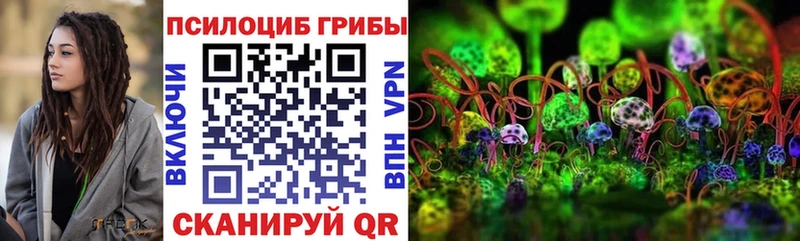 закладки  Каспийск  Галлюциногенные грибы Psilocybe 