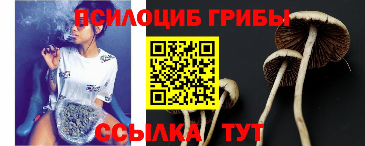 Галлюциногенные грибы MAGIC MUSHROOMS  Вход с VPN  хочу наркоту  Каспийск  Галлюциногенные грибы Cubensis 